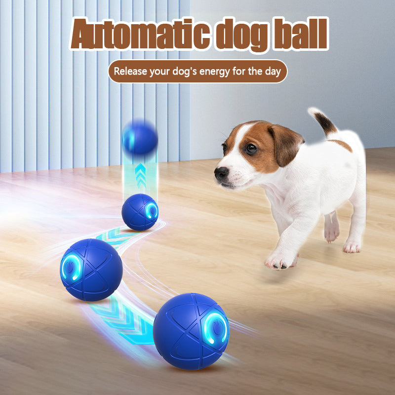 🎁 A Christmas Surprise for Your Fur Baby! ✨ Pet Bounce Ball for Cats🐱 & Dogs🐶